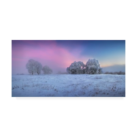 Sergei Shabunevich 'Trees Covered In Snow' Canvas Art,16x32